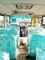 De klassieke Speciale de Schoolbus van de Onderlegger voor glazenminibus Promotie stroomlijnt Ontwerp leverancier